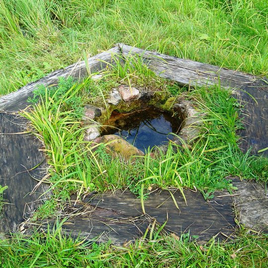 Rangavos alko šaltinis
