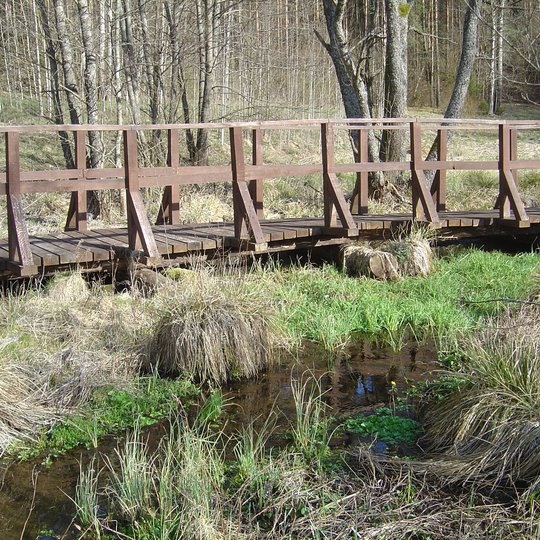 Bobos daržo šaltinis