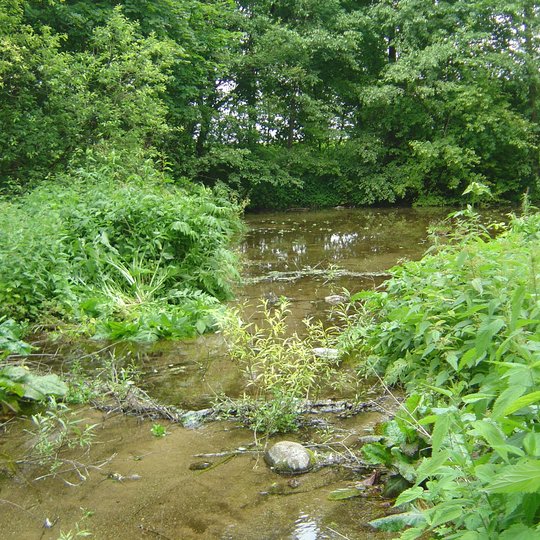 Grimzdų šaltinis