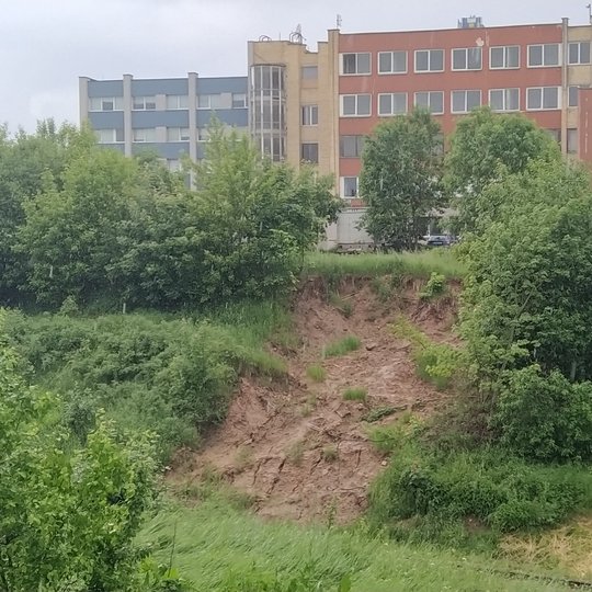 Iliustracija