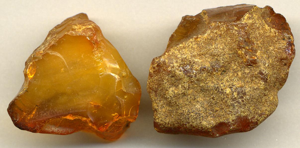 Amber_(resinite)_(Baltics).jpg