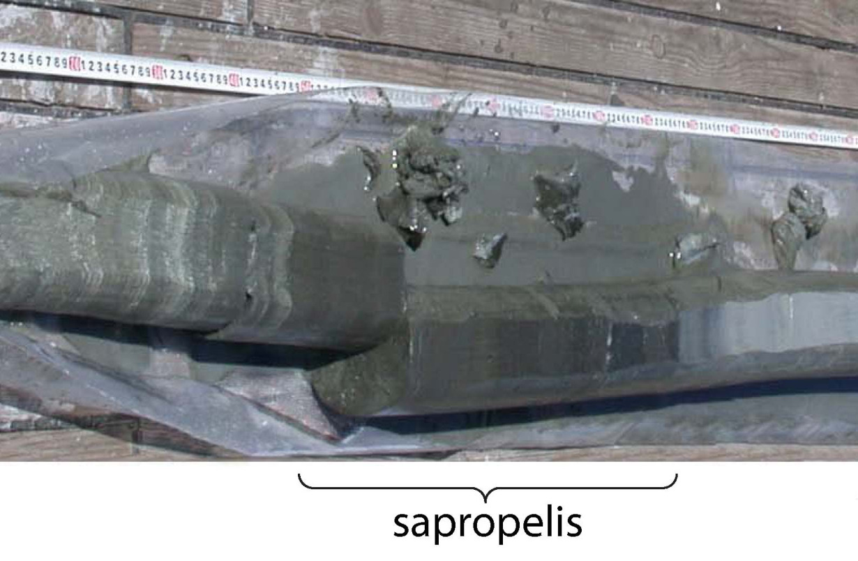 sapropelis.jpg