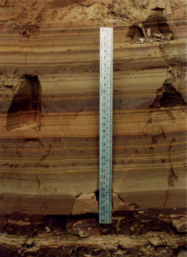balb (002).jpg
