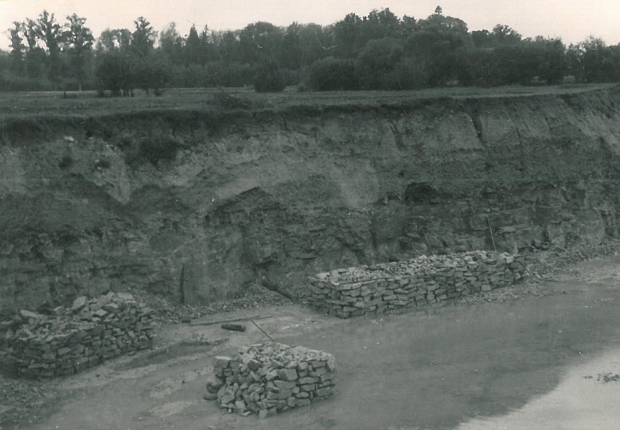 9 pav. Kruojos svitos dolomitas Linksmučių karjere (karjeras nebeksploatuojamas).jpg